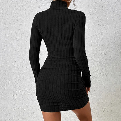 Sexy and Elegant Solid Long Sleeves Turtleneck Bodycon Sheath Mini Dress