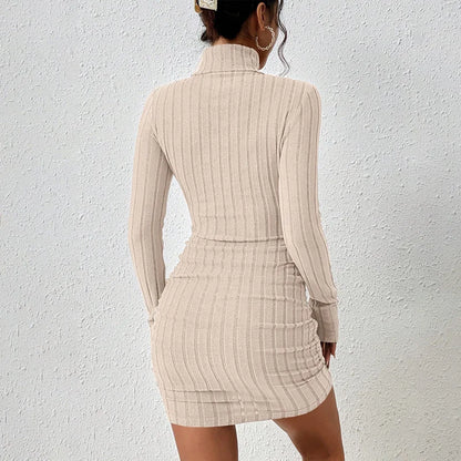 Sexy and Elegant Solid Long Sleeves Turtleneck Bodycon Sheath Mini Dress